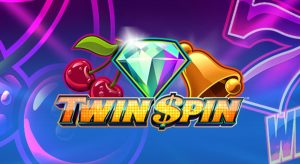 Twin SPin