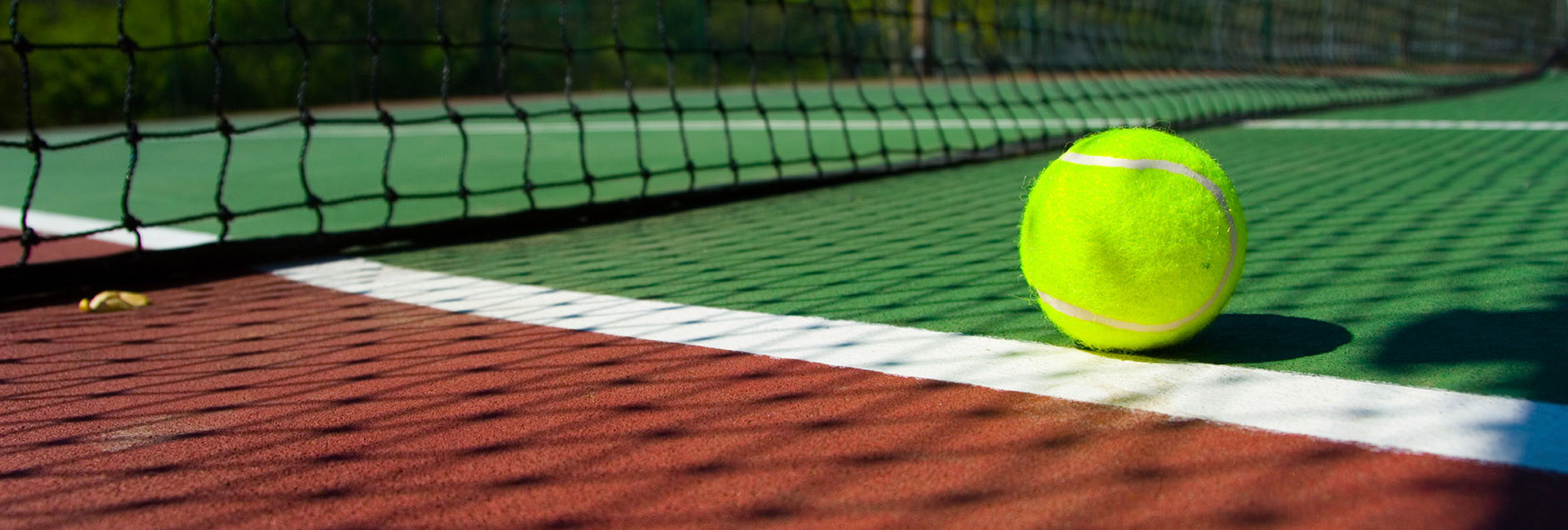 Tennis balls on Court